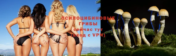 мет Арсеньев